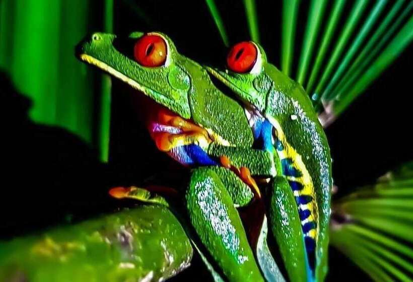 فندق Lake Gardens Arenal Villas