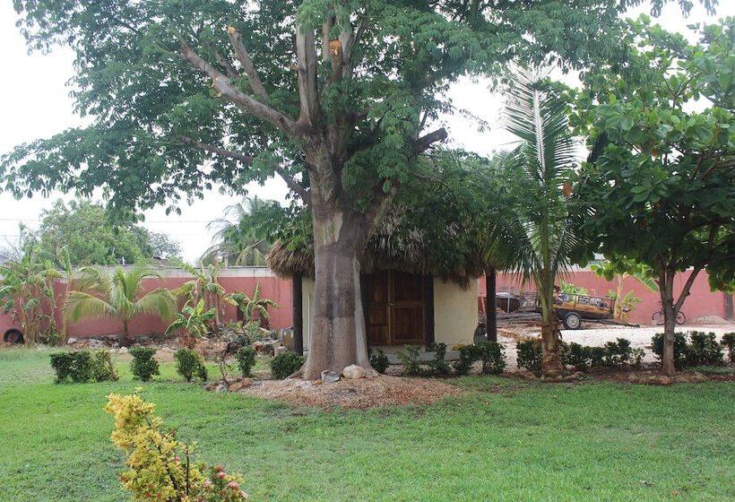 فندق Mangrove King Fishing Lodge