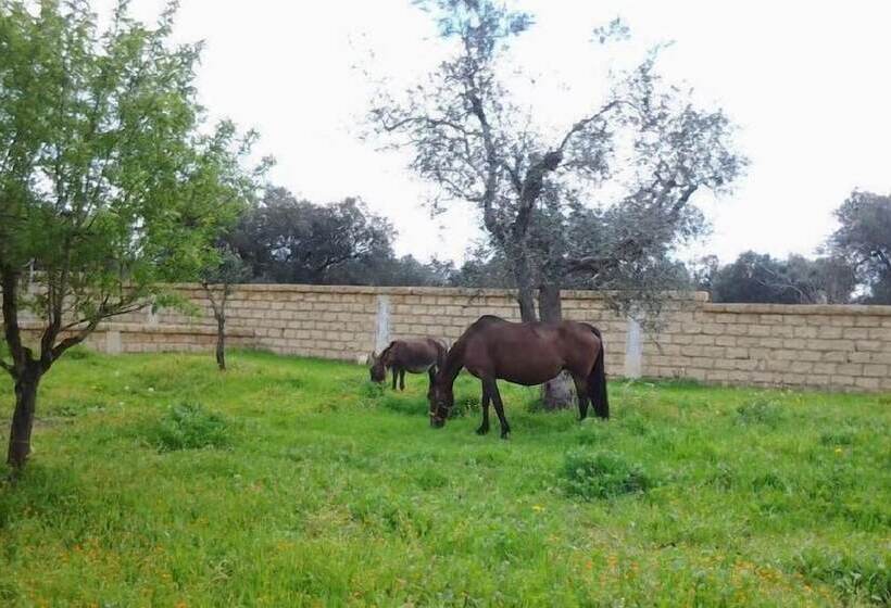 בית מלון כפרי Masseria Grande