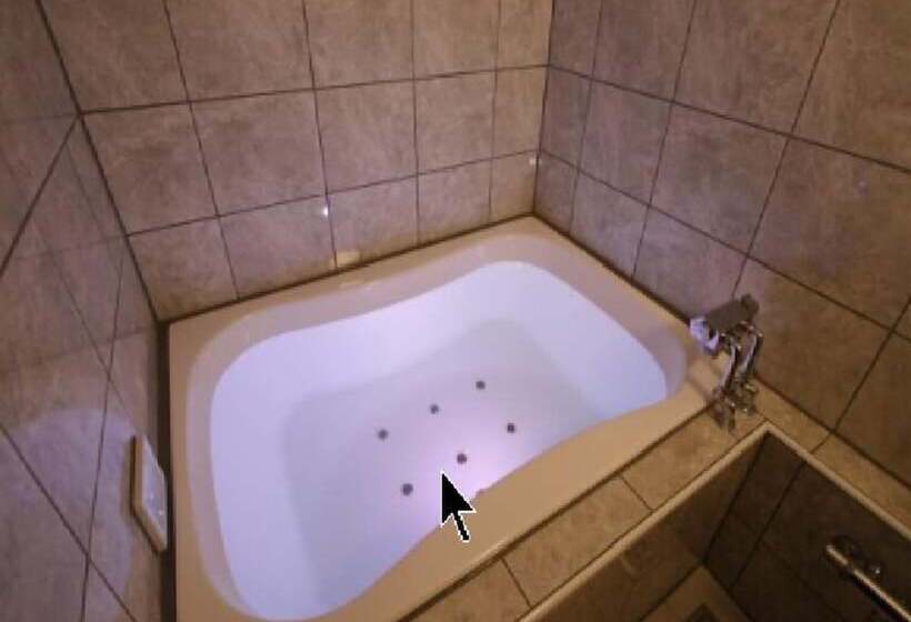 酒店 Pasionresort Adults Only