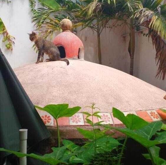 Отель Posada De San Miguel Spa