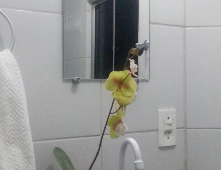 בית מלון כפרי Rota Do Sol