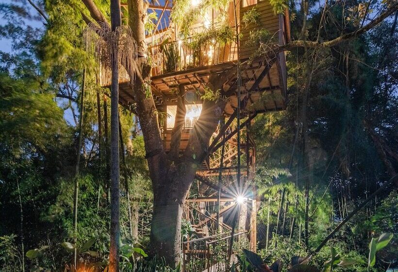 Сельский отель Botanico Glamping