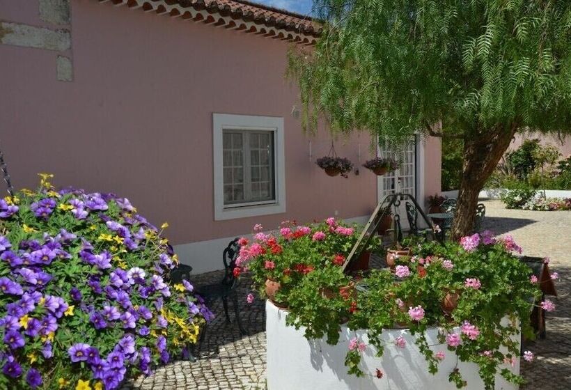 Сельский отель Casa Da Avó Genoveva