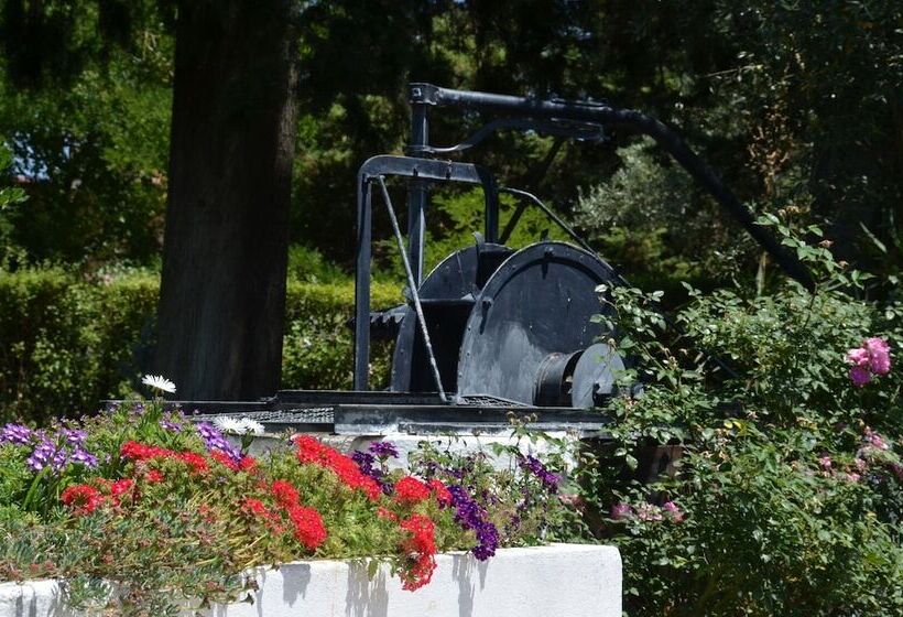 Сельский отель Casa Da Avó Genoveva