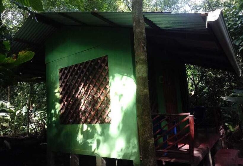 בית מלון כפרי Toucan & Tarpon