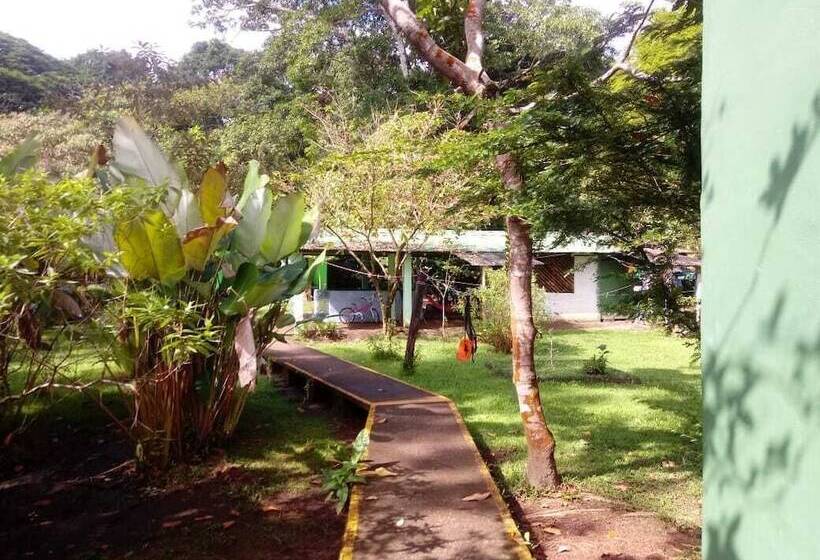 בית מלון כפרי Toucan & Tarpon