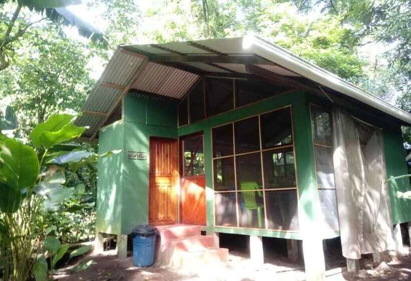 בית מלון כפרי Toucan & Tarpon