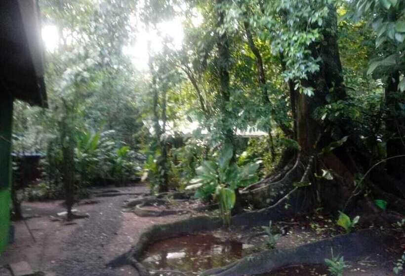 בית מלון כפרי Toucan & Tarpon