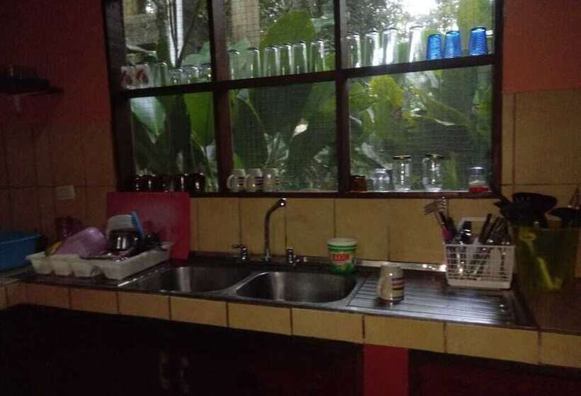 בית מלון כפרי Toucan & Tarpon