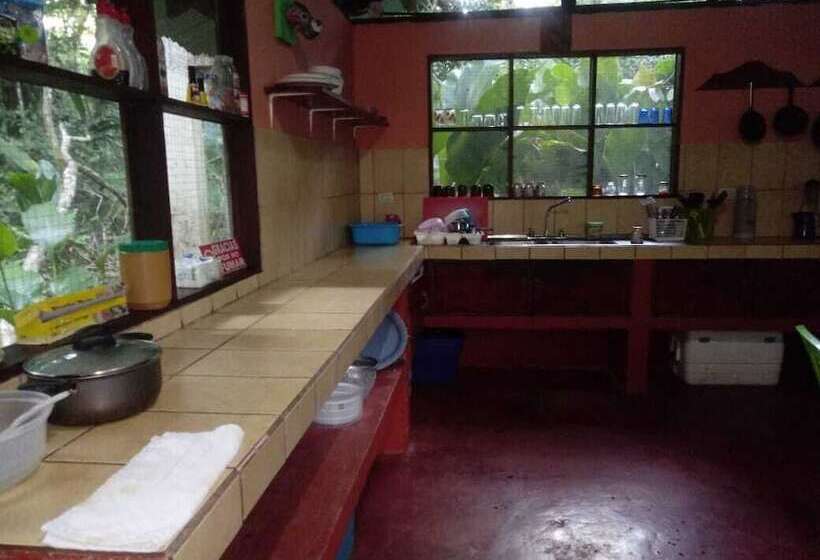 בית מלון כפרי Toucan & Tarpon