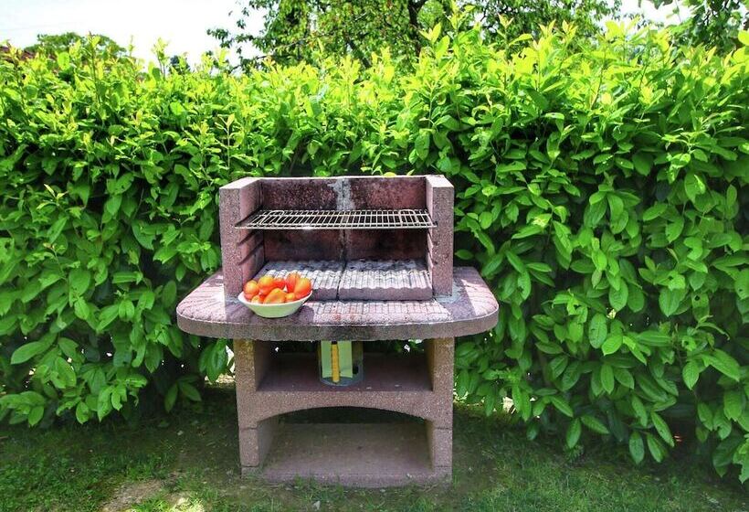 Lush Apartment In Lucignano With Pool