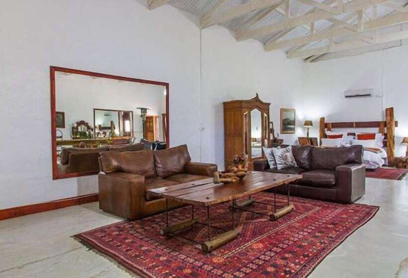 פנסיון African Vineyard Guest House