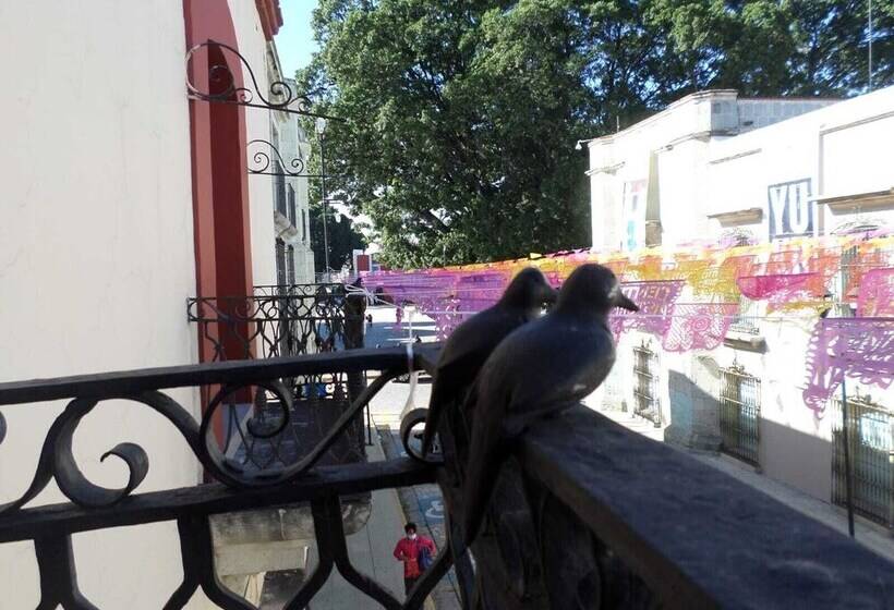 پانسیون Casa De La Asunción