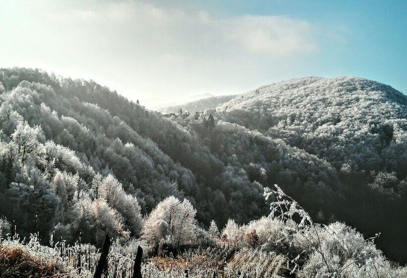 ペンション Discover The Magic Of Nature