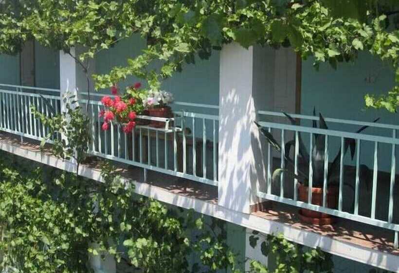 پانسیون Guest House Grant