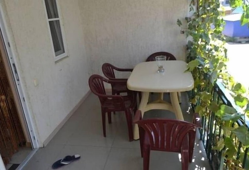 بنسيون Guest House Seagull