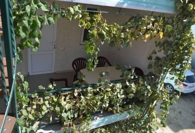 بنسيون Guest House Seagull