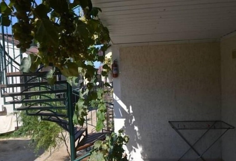 بنسيون Guest House Seagull