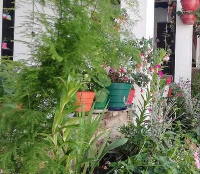 פנסיון Hospedaje Casaloma