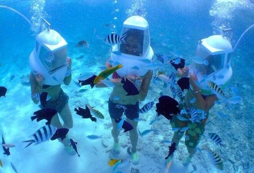 פנסיון Nagannu Island Stay