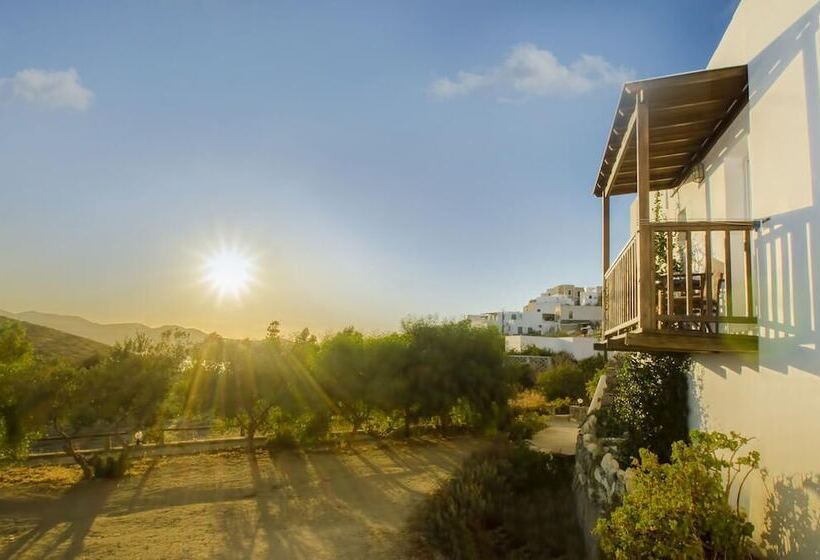 פנסיון Palaios Rooms