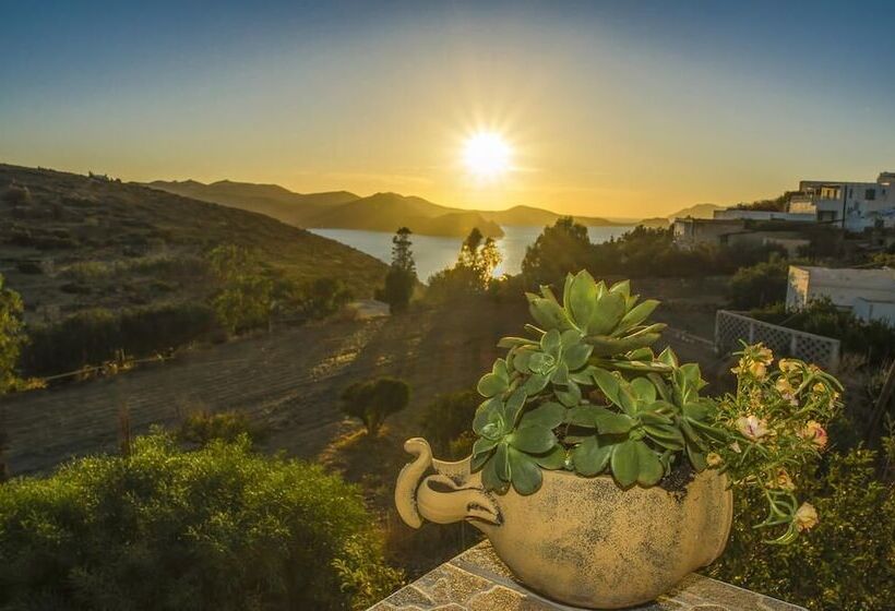 פנסיון Palaios Rooms