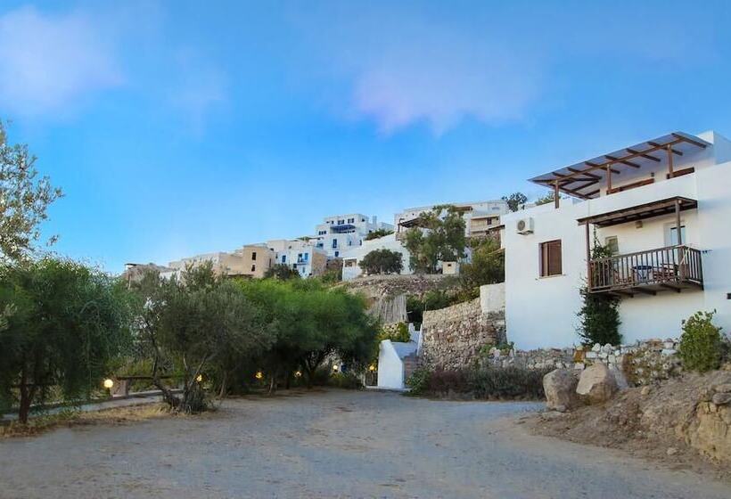 פנסיון Palaios Rooms