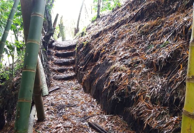 پانسیون Tranquility, Fresh Air, Birds Eye View, Green Areas, Panoramic View