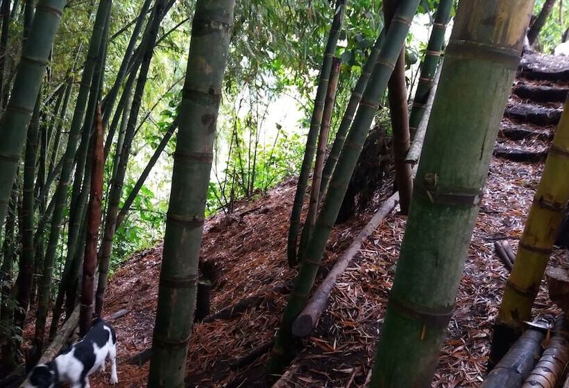 ペンション Tranquility, Fresh Air, Birds Eye View, Green Areas, Panoramic View