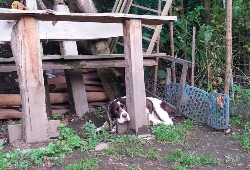 ペンション Tranquility, Fresh Air, Birds Eye View, Green Areas, Panoramic View