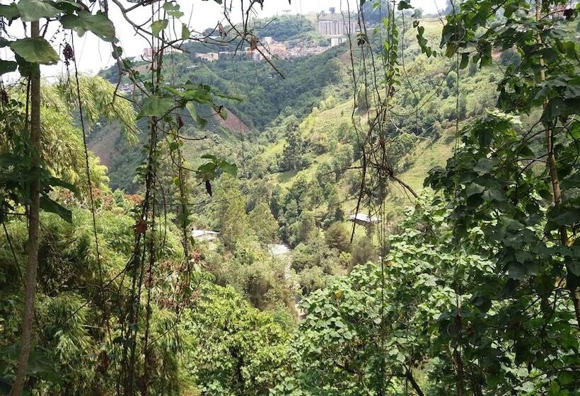 ペンション Tranquility, Fresh Air, Birds Eye View, Green Areas, Panoramic View