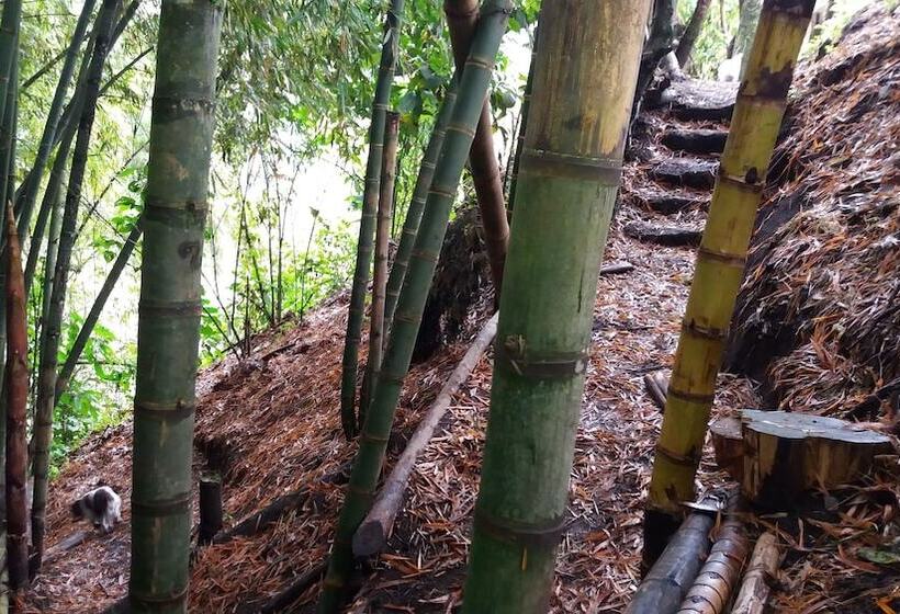 ペンション Tranquility, Fresh Air, Birds Eye View, Green Areas, Panoramic View