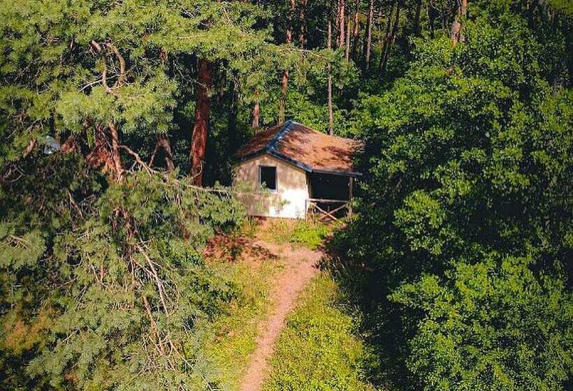 استراحتگاه Kurshale