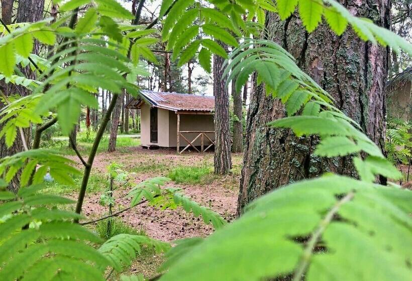 استراحتگاه Kurshale