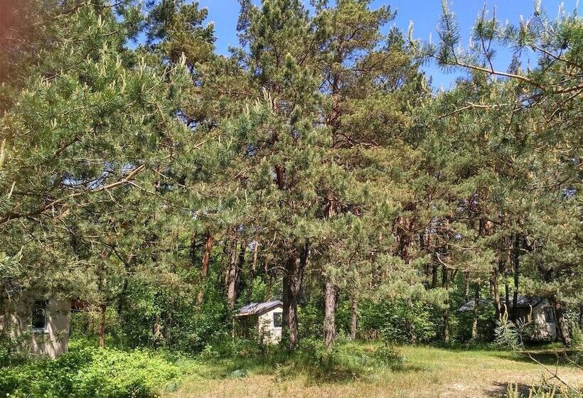 استراحتگاه Kurshale