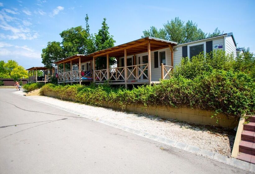 渡假胜地  Pelso Camping