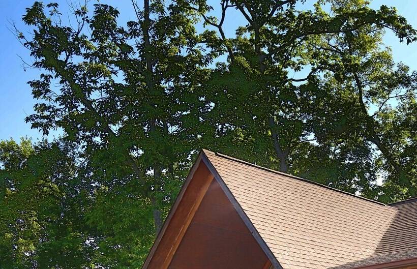 Sun Sational View #245