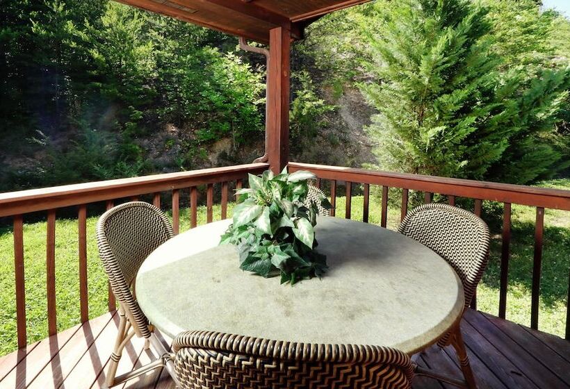 Sun Sational View #245