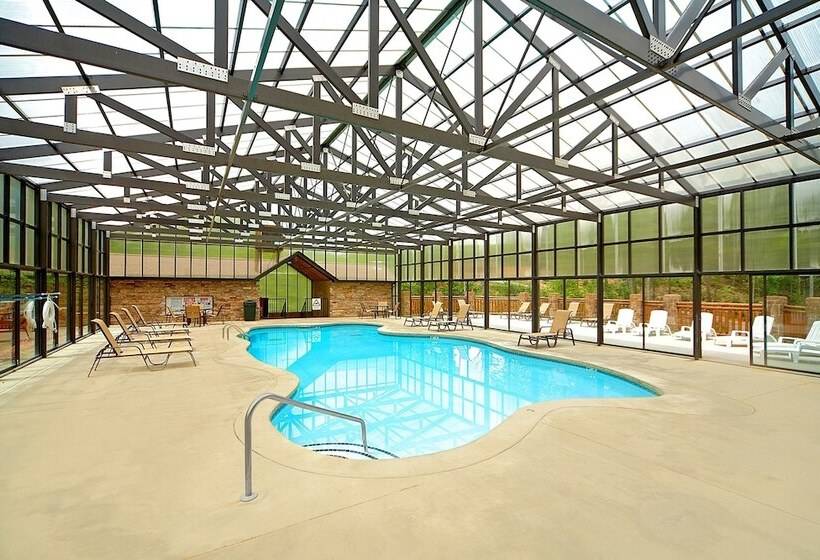 Sun Sational View #245