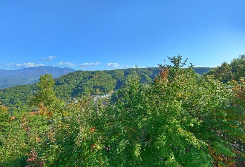 Tennessee Treasure #232