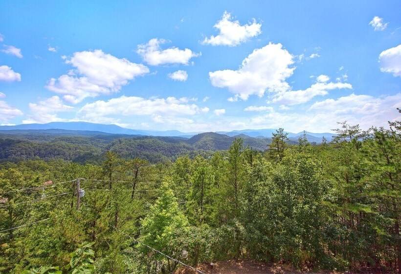 Tennessee Treasure #232