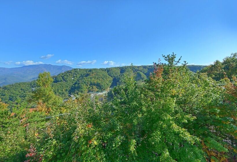 Tennessee Treasure #232