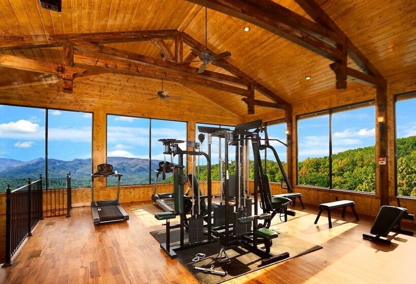 Tennessee Treasure #232