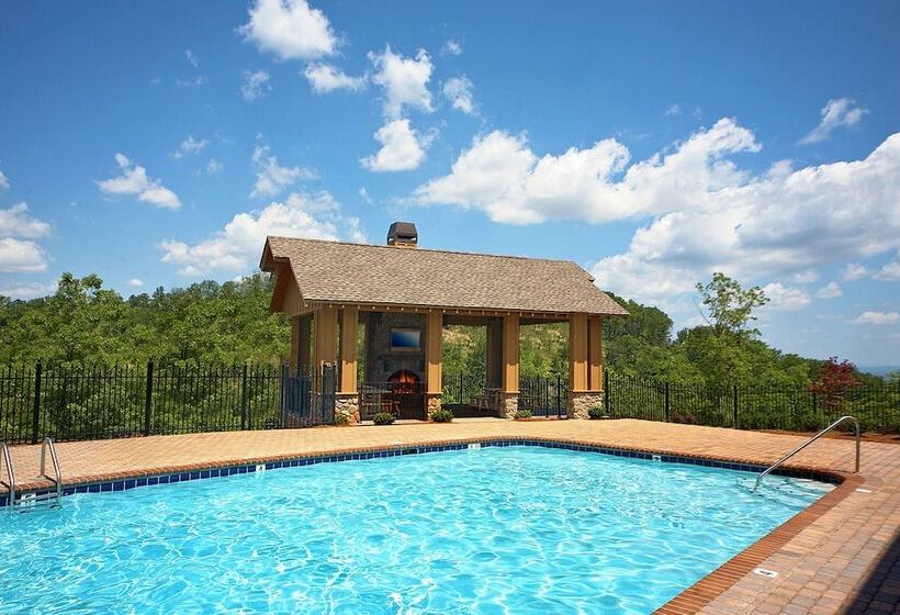 Tennessee Treasure #232