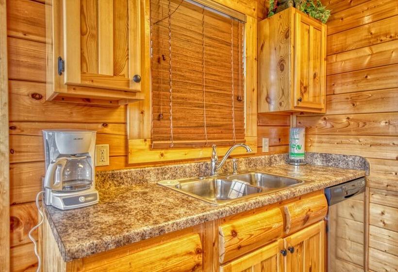 Tennessee Treasure #232