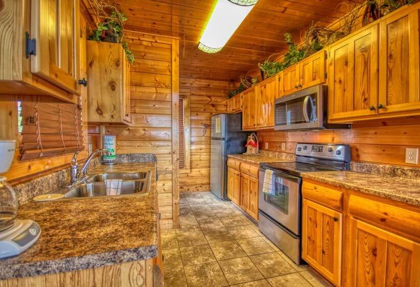 Tennessee Treasure #232