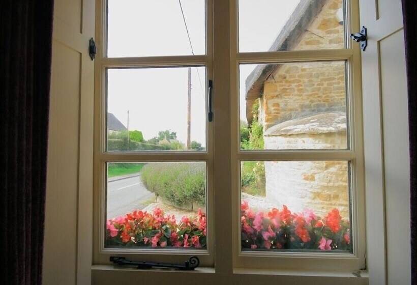 The Old Reading Room