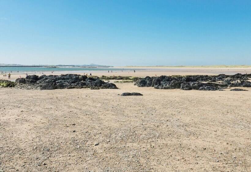 10 Pen Llanw Tides Reach