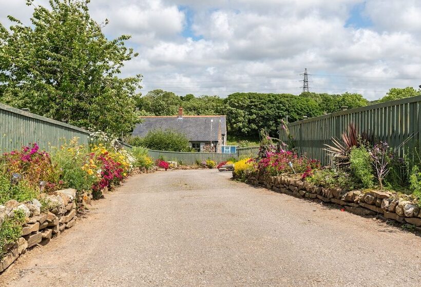 Be Our Guest Cottage